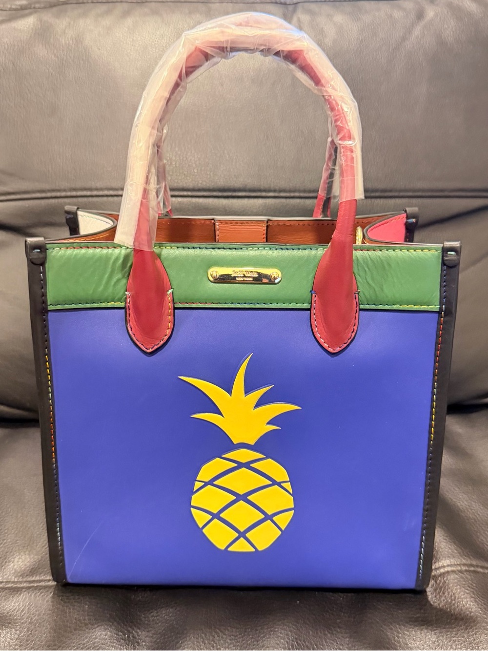 Jeff Wan Hampton Tote 22 in Inclusive Rainbow Colorblock Bag w/ Yellow Pineapple